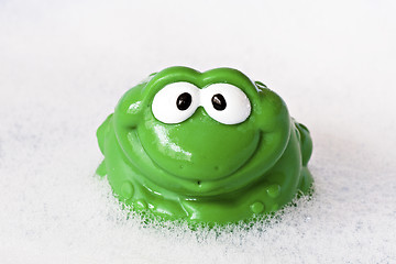 Image showing frog in a bath foam