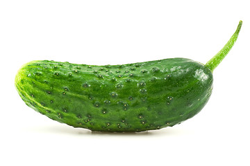 Image showing green cucumber