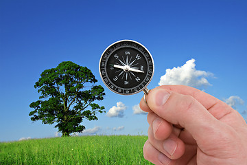 Image showing hand with compass on nature background