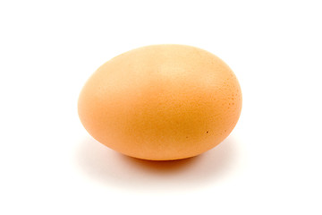 Image showing brown chicken egg 