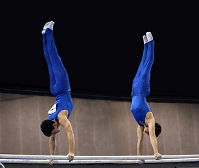 Image showing 2 gymnasts on parallel bars