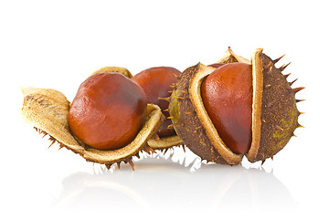 Image showing Three autumnal chestnuts