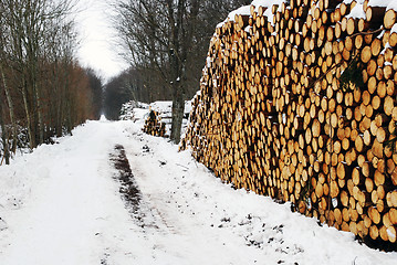 Image showing Timberstacks