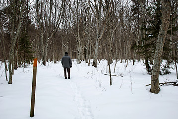 Image showing Winter hike