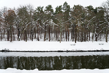 Image showing Winter landscape, trees growing by a calm river