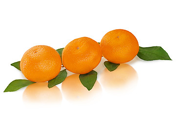 Image showing fresh tangerines with green leaves isolated on white background