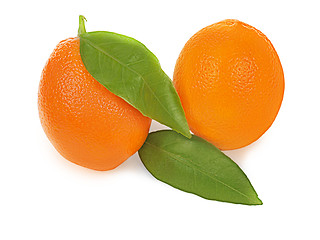 Image showing ripe orange fruits with leaves isolated on white background