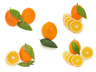 Image showing set of fresh ripe orange fruits with cut and green leaves isolat