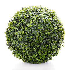 Image showing  sphere from green artificial grass isolated on white background