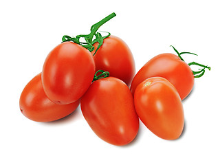 Image showing red tomatoes on the vine isolated on white background