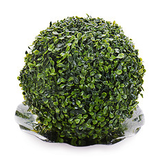 Image showing sphere from green artificial grass on plate isolated on white ba