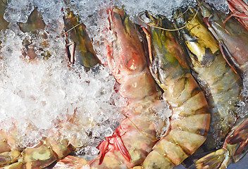 Image showing tiger prawns