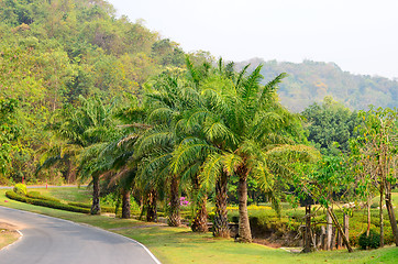 Image showing asphalt road