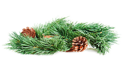 Image showing wreath of fir branches isolated on white background, selective f