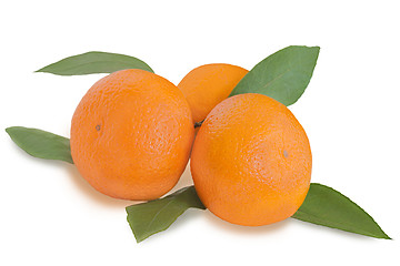 Image showing fresh tangerines with green leaves isolated on white background