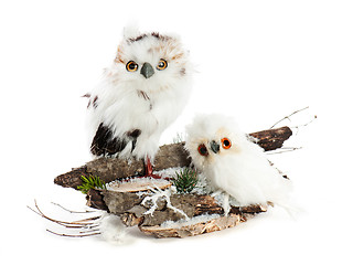 Image showing two owls on a wooden base with snow, pine needles and snowflakes