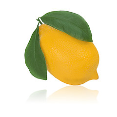 Image showing fresh lemon citrus with green leaves isolated on white backgroun