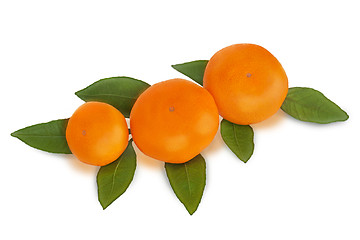 Image showing fresh tangerines with green leaves isolated on white background