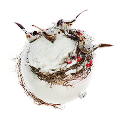 Image showing New Year's composition from birds, mountain ashes, snow and a wh