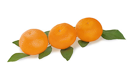 Image showing fresh tangerines with green leaves isolated on white background