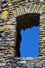 Image showing  old window and bush 