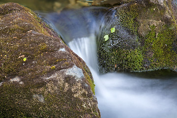 Image showing Waterfall