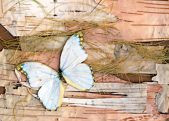 Image showing abstract composition from butterflies, birch bark and straw