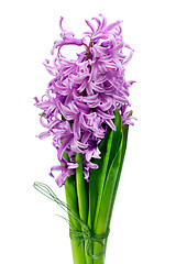 Image showing colorful bouquet from hyacinth arrangement centerpiece isolated 