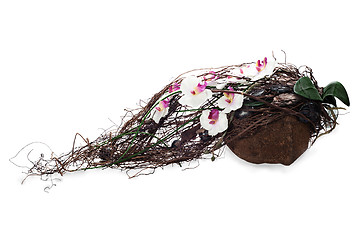 Image showing abstract composition from coconut, orchid, rocks and vines isola