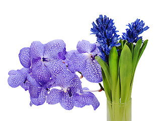 Image showing colorful bouquet from hyacinth and orchidea arrangement centerpi