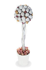 Image showing abstract composition from nuts and dry roses arrangement centerp