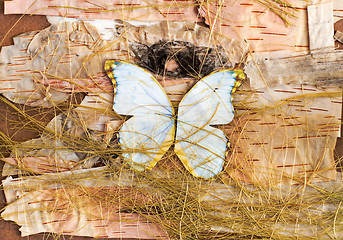 Image showing abstract composition of butterflies, birch bark and straw