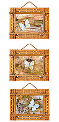 Image showing three bamboo photo frames with abstract composition of butterfli