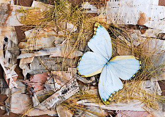 Image showing abstract composition of butterflies, birch bark and straw