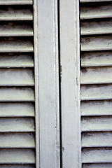 Image showing white wood venetian blind