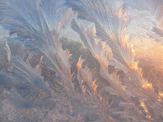 Image showing Ice pattern on glass
