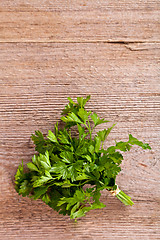 Image showing bunch of fresh parsley