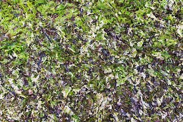 Image showing dried and fresh laminaria as background 