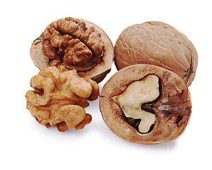 Image showing walnut and a cracked walnut isolated on the white background