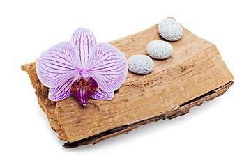 Image showing still life with orchid and stones on a grunge wood  