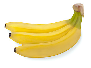 Image showing bunch of three bananas isolated on white background