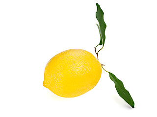 Image showing yellow ripe lemon with leaves isolated on a white background