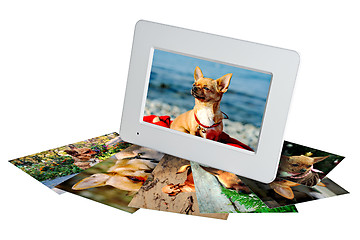 Image showing white digital photo frame with photos of a chihuahua isolated 