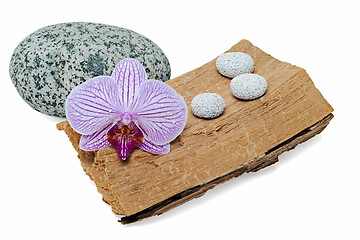 Image showing still life with orchid and stones on a grunge wood  