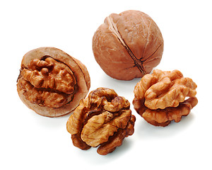Image showing walnut and a cracked walnut isolated on the white background 