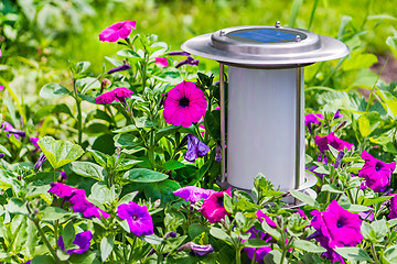 Image showing A solar-powered garden lamp - these save electricity and are ver