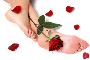 Image showing Feet and Rose