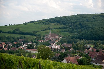 Image showing Alsace landscape and vinewyard