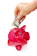 Image showing hand putting banknote into piggy bank