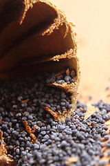 Image showing poppy seeds 